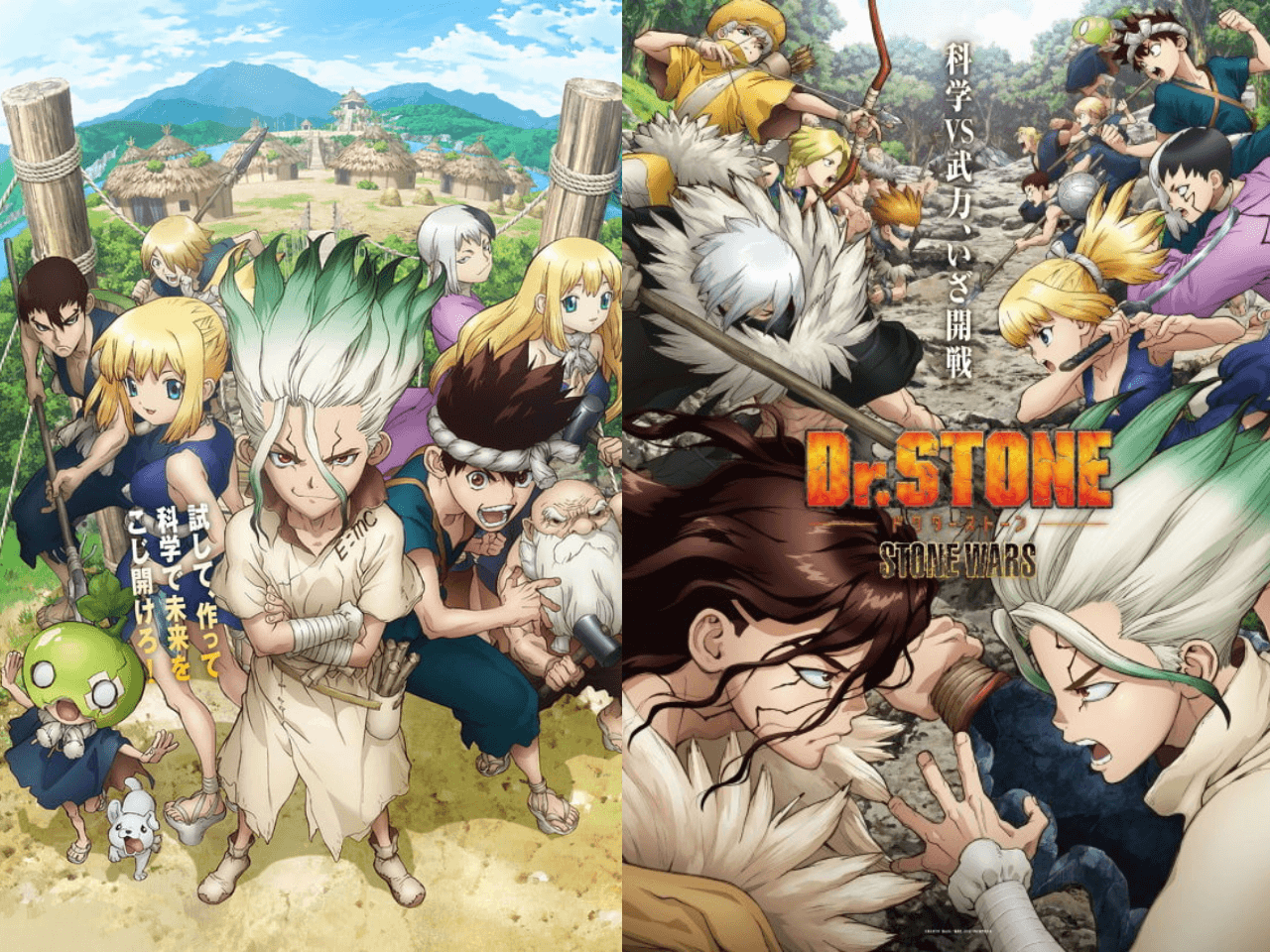 Dr.STONEの過去シーズンはどこで見れる?