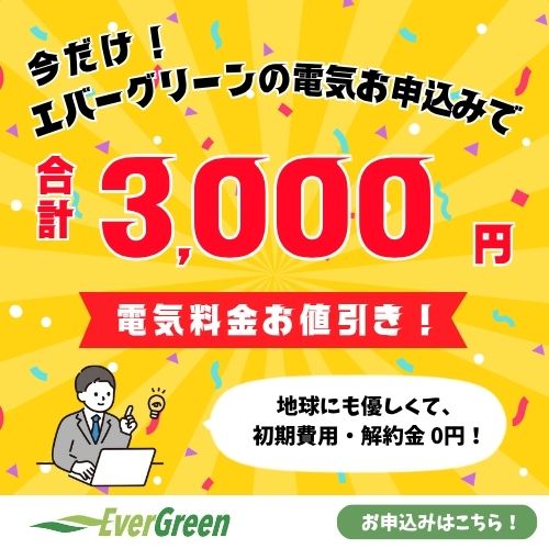 エバーグリーン