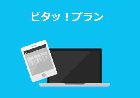 ビタッ!プラン