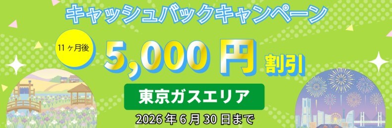 エルピオ都市ガスのおすすめポイント：都市ガス料金が断然安い、新規申込で5,000円電気代割引キャンペーン