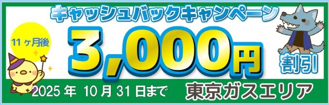 エルピオ都市ガスのおすすめポイント:都市ガス料金が断然安い、新規申込で3,000円電気代割引キャンペーン