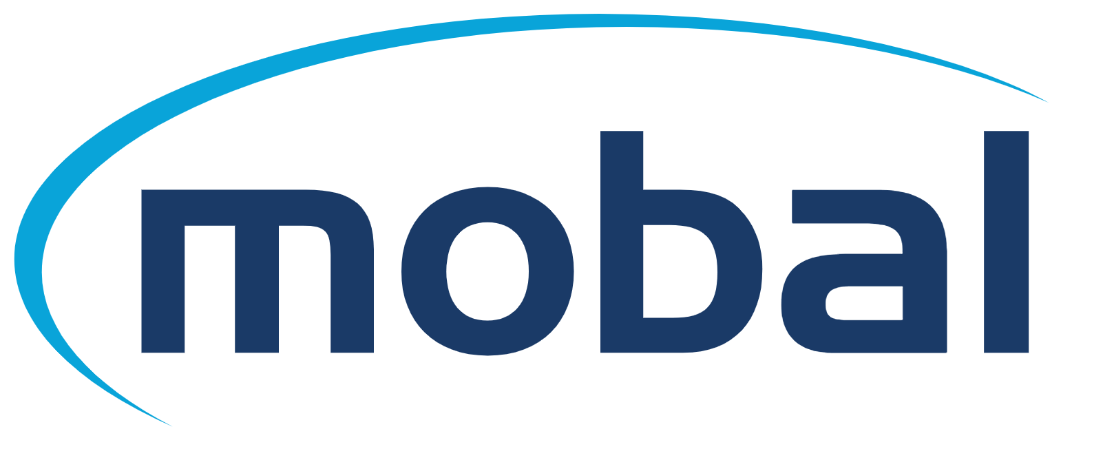 Mobal Review Finding the Right SIM Card Provider in Japan if You Don