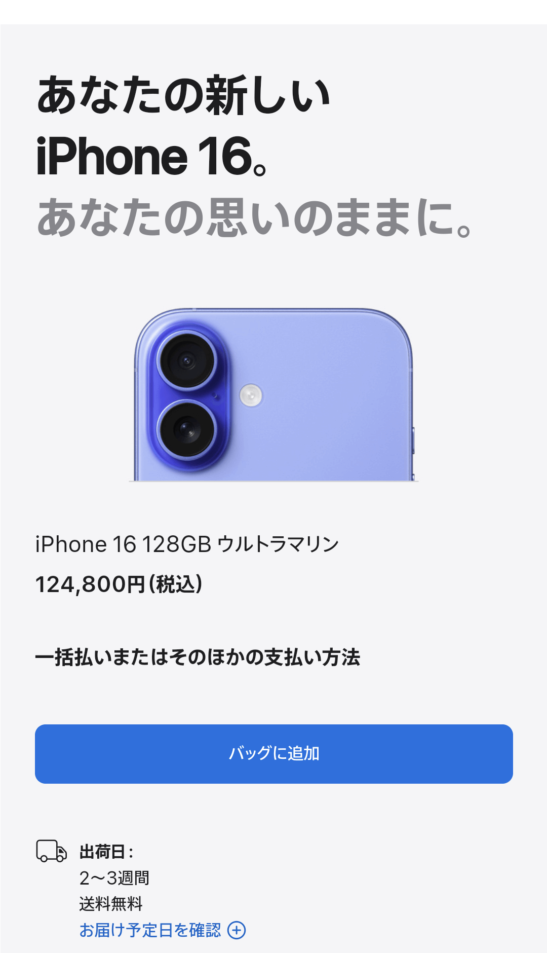 バッグに追加