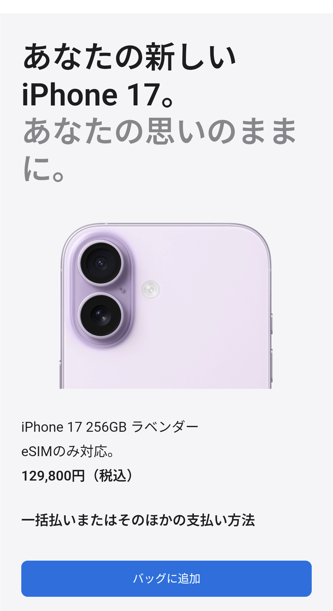 バッグに追加