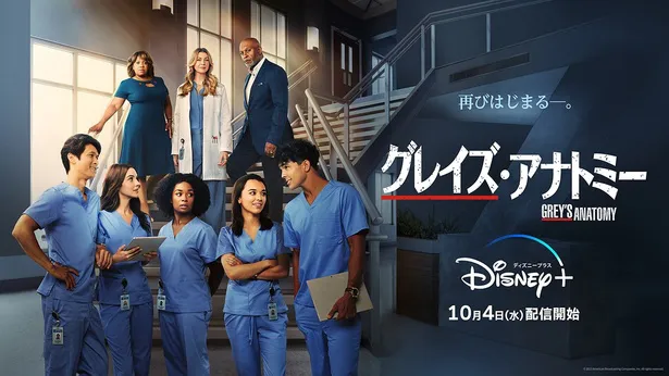 グレイズ・アナトミー