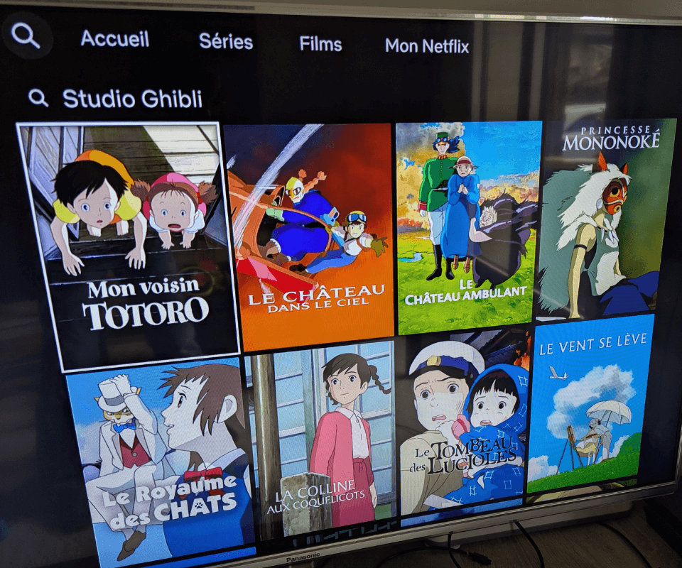 フランスのNetflixで見られるジブリ作品