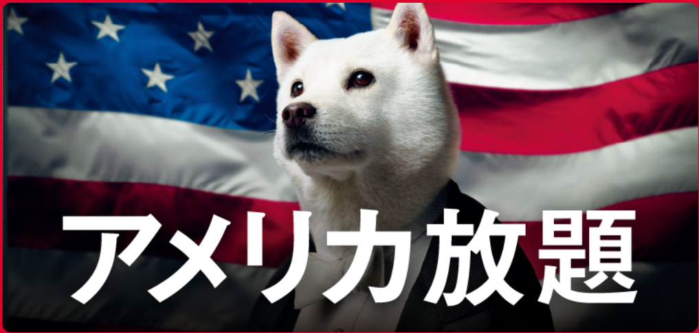 アメリカ放題