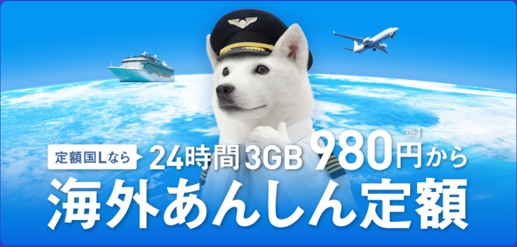 海外あんしん定額