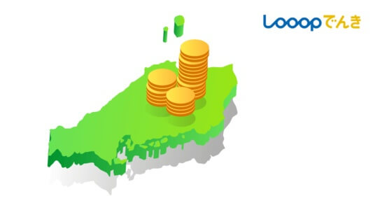 Looopでんき(中国エリア)の電気料金:おうちプラン ビジネスプラン