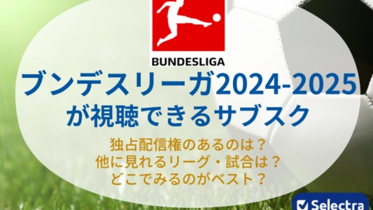 ブンデスリーガ2024-2025はどこでみれる?無料視聴する方法、安く見る方法はある?
