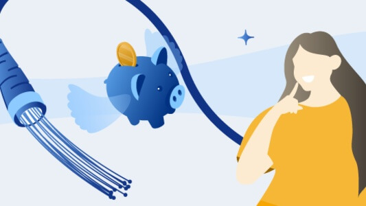 光回線の料金が高い？理由と安くネットを使う方法