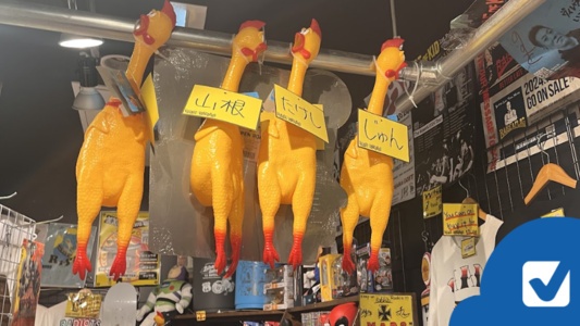 ヴィレヴァン81店舗閉店に寄せて|中学生の頃に買っていたものを振り返る