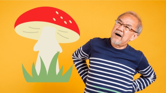 「親父、それ損してるよ」実家で気づいた電気代の罠。dカードユーザーが陥る無意味な「ポイ活」