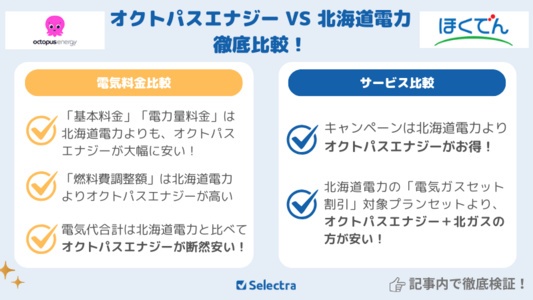 【8月最新】オクトパスVS北海道電力【徹底比較】電気料金が安いのは?サービスも比較!