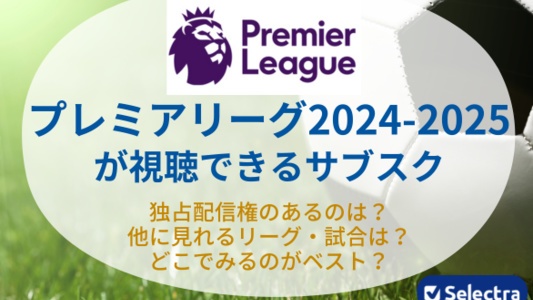プレミアリーグ2024-2025はどこでみれる?無料視聴する方法、安く見る方法はある?