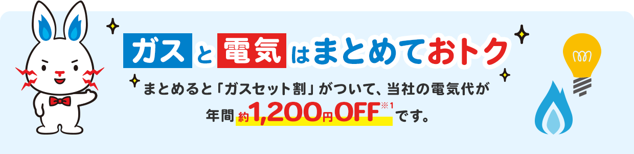 東京電力の電気ガスセット割