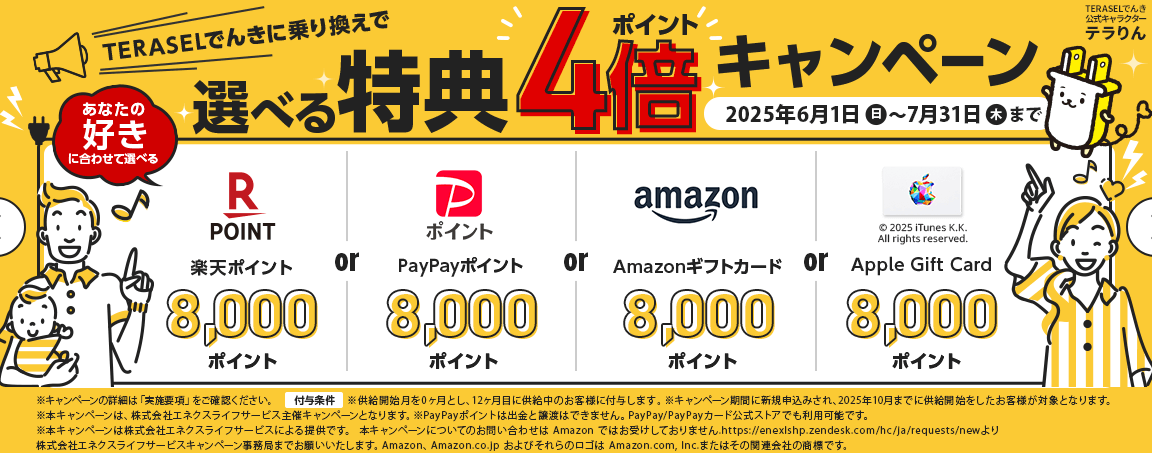TERASELでんき