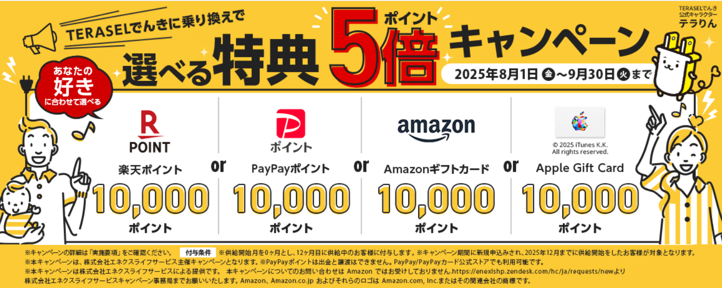 TERASELでんき