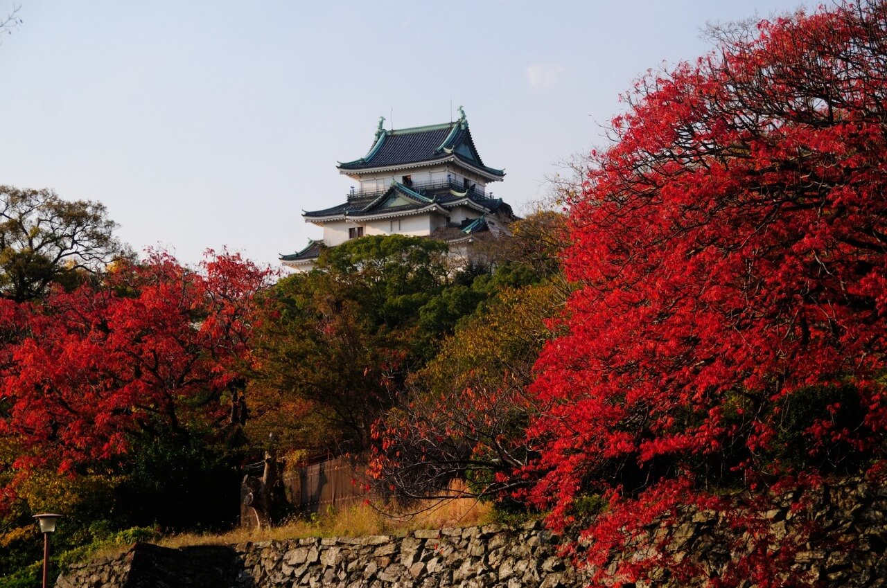 主人公・豊臣秀長（羽柴秀長）の生涯は？どんな人だったの？